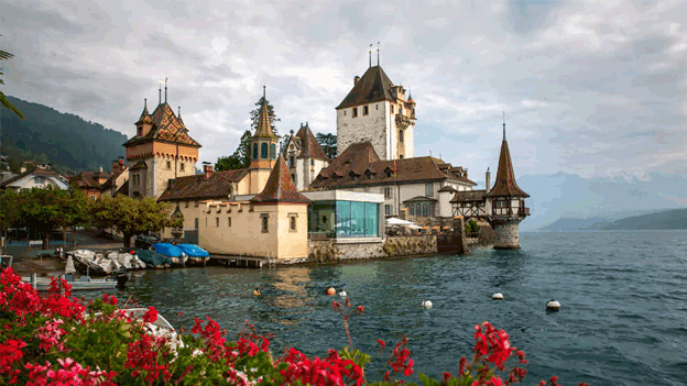 quick-transmate-Switzerland